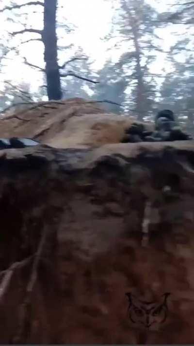 Russian VDV firing from their trenches (date unknown, Kreminna)