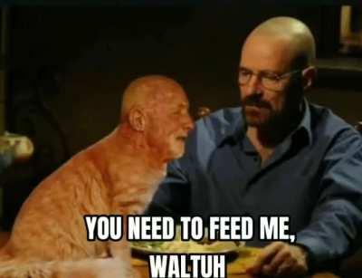 Rare footage of Lenin with one of his cats.