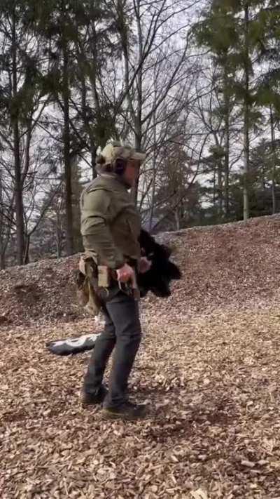 Any shield users that can tell me what the fuck is going on here ?