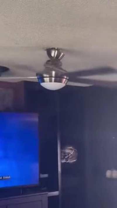 You don’t see that everyday 