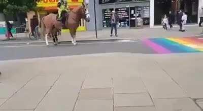 Horses Freaks out over Pride Stripes