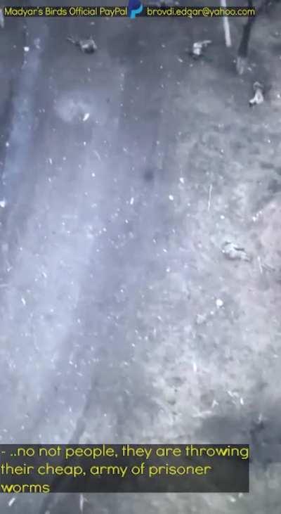 Madyar - UA drone recon. No action. Explaining the current situation and some of the decisions made in the recent days. Morning of 31st Jan. Subtitled