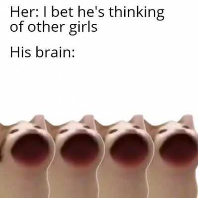 Rocky road to Dublin