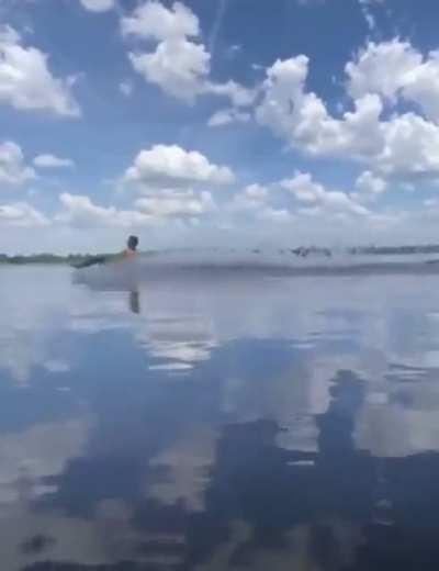 When my florida b*tch is callin for some honey 🍯