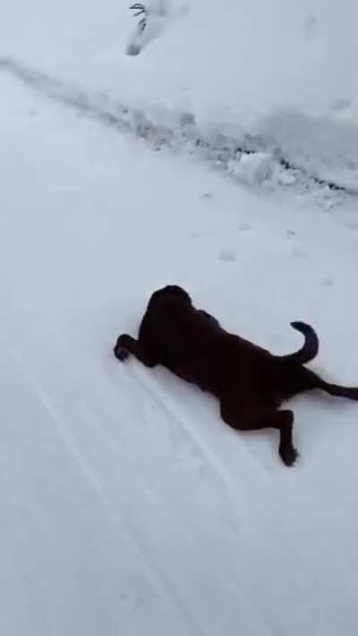 What kind of seal is this