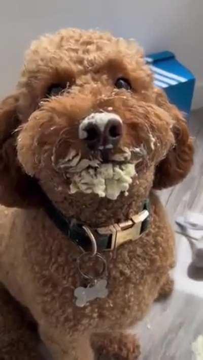 Circumstantial evidence at best ! wait for end