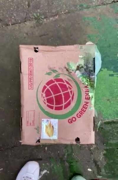 Here’s my first attempt. I hope you like it