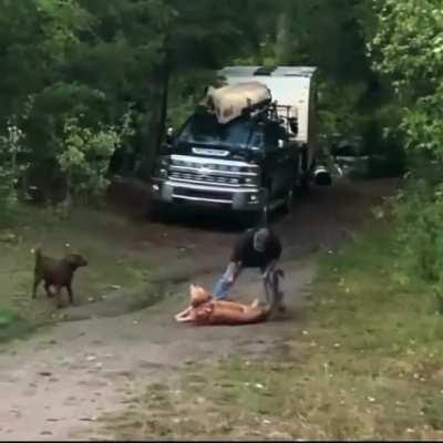 Guy rescuing his dog from an attacking mountain lion