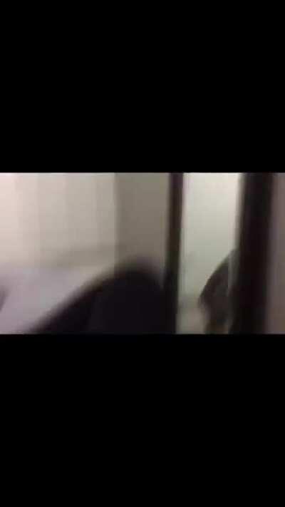 Probably the first time seeing his reflection......