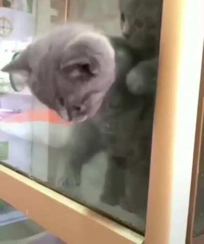 ESCAPED CONVICT ALERT