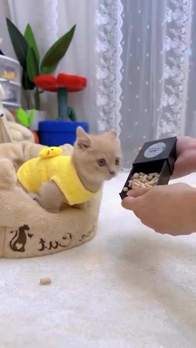 trollar os arrombadinhos é reparação histórica 