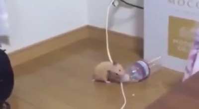 This music will last forever