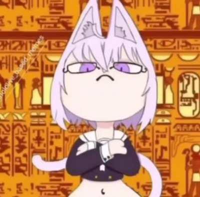 Ayo what da cat doin⁉️🤔