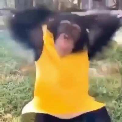 MONKE PLÁTANO TORINO