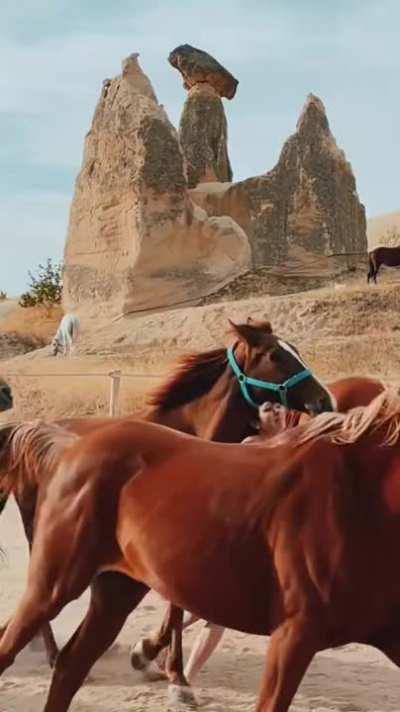 Bow down to me… or not