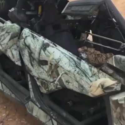 Even sicarios .. enjoy the day 👈👀