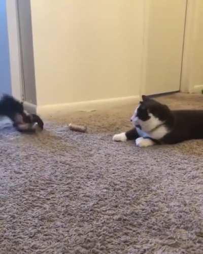 Watch out, I'm gonna get you