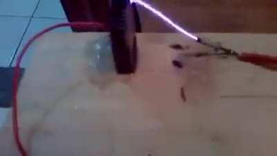 Eu quero vê quem é que tr*nsa