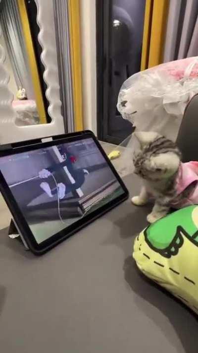 When you Try to Help...