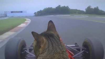 Saw this on r/FormulaDank , and had to share it here.