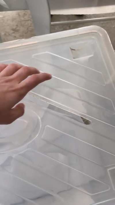 Beyler ön seçim başladı 17:00da bitiyor. Eyleme gitmeyen sandığa gitsin bari aq kaldırın götünüzü