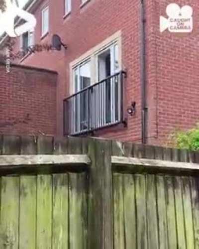 Bruhhhh they be movin mad