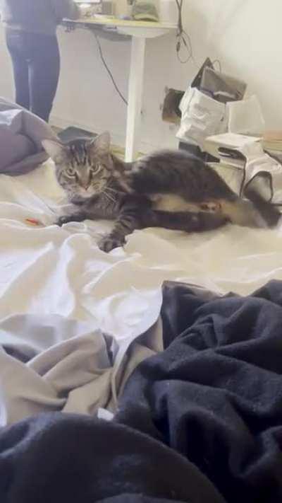 Ever have one of those mornings where you just can&rsquo;t stop kicking yourself in the face? Baby LoTo does.