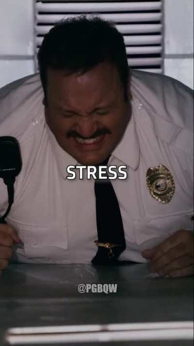 Look What PAUL BLART: MALL COP gives us!!!