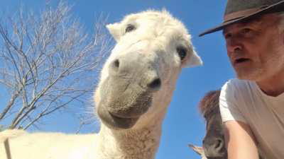 Ronnie sees himself on camera