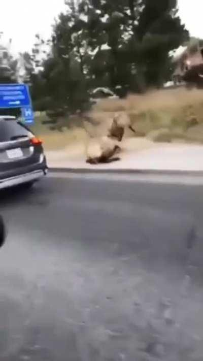 * walks out like nothing happened *