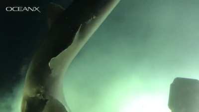 When she opens her eye...