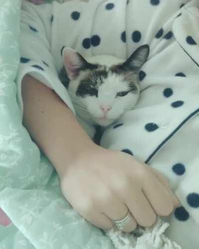 the best way to wake up on a cold autumn morning 🐱💤