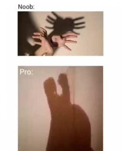 Pro