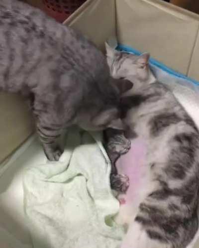 He’s checking on his wife 🥺🥺🥺🥺