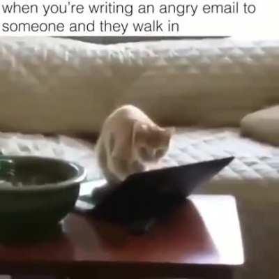 Just doing some coding until the human walks in