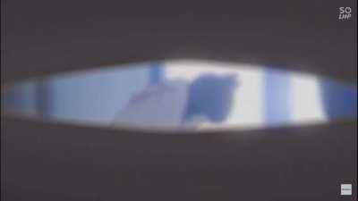 This is the first time we heard komi san talking,and the meow,i died watching that