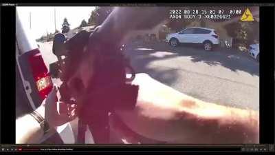 Tacoma police officer casually shooting down an armed suspect with one shot