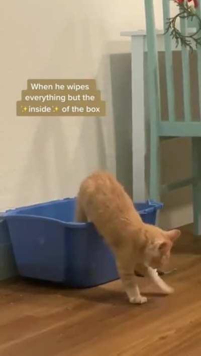 Wiping even the air..