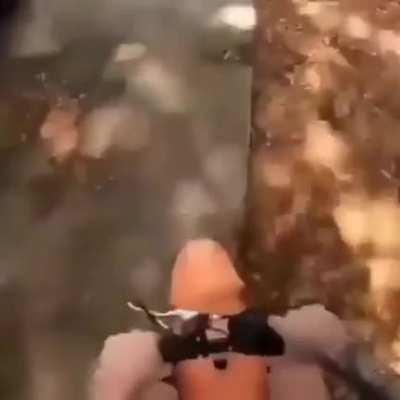 me driving home to watch King of the hill at 7:30pm on Fox8