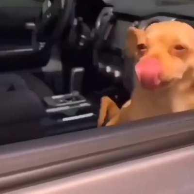 La familia es lo primero