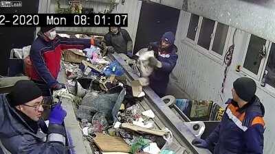 Garbage sorting worker found a live cat in a bag.