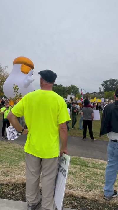 No Kings Rally - Arlington Heights