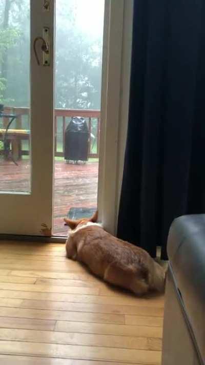 Watching it rain