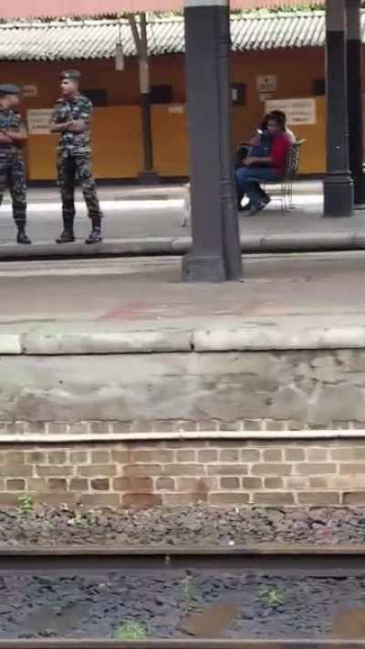 On duty sniffer Lab gets a smol break from work