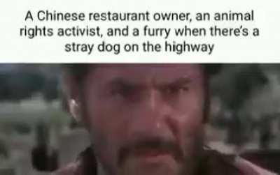 who will get to dog first???