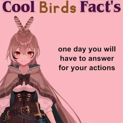 Cool Birds Fact's!