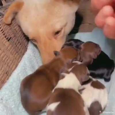 Todos podem usar um pouco de ajuda às vezes