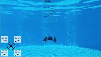 Hybrid aerial and underwater drone built by undergraduate students