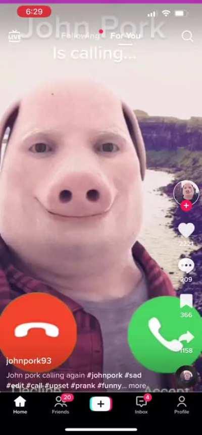 TikTok a fever dream 😭