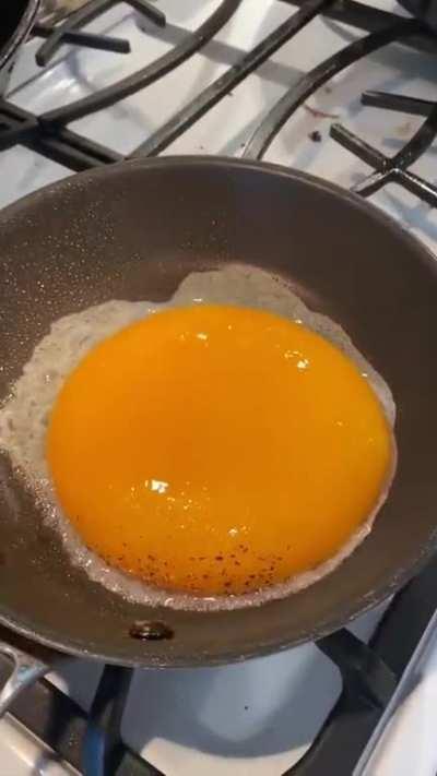 Absolute unit of an egg 